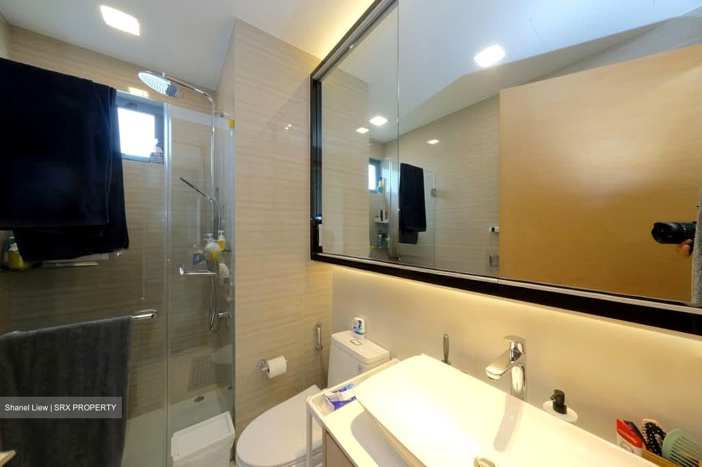The Skywoods (D23), Condominium #548851821
